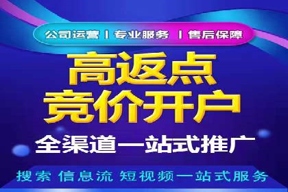 SEM营销案例：电商平台的流量密码
